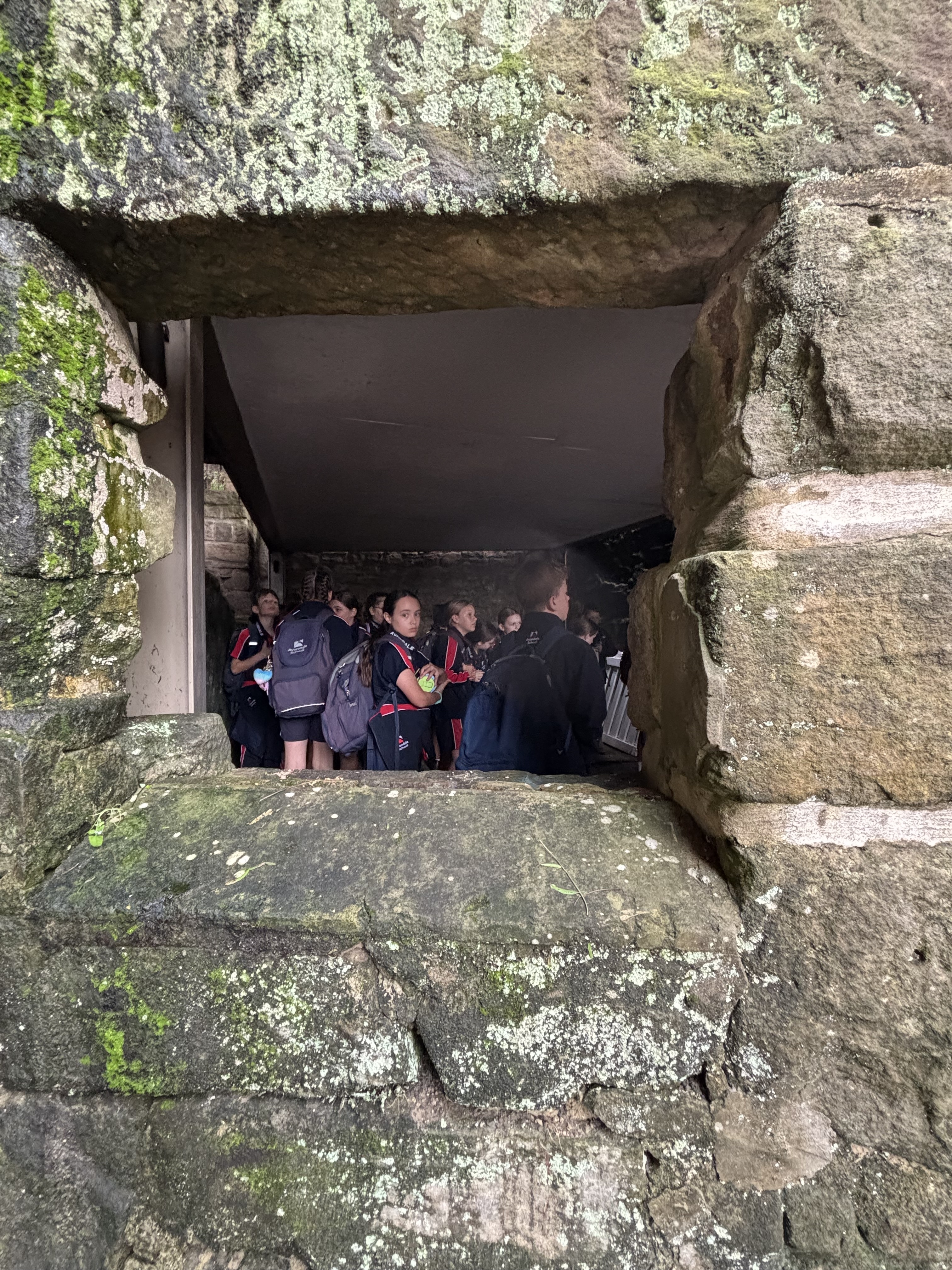 The Rocks History Year 5 The Rocks History Excursion | Avondale School
